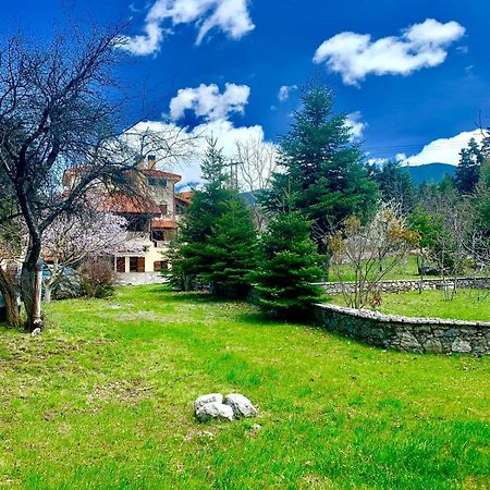 Pine Lodge By Ski Alure Arachova Exterior photo