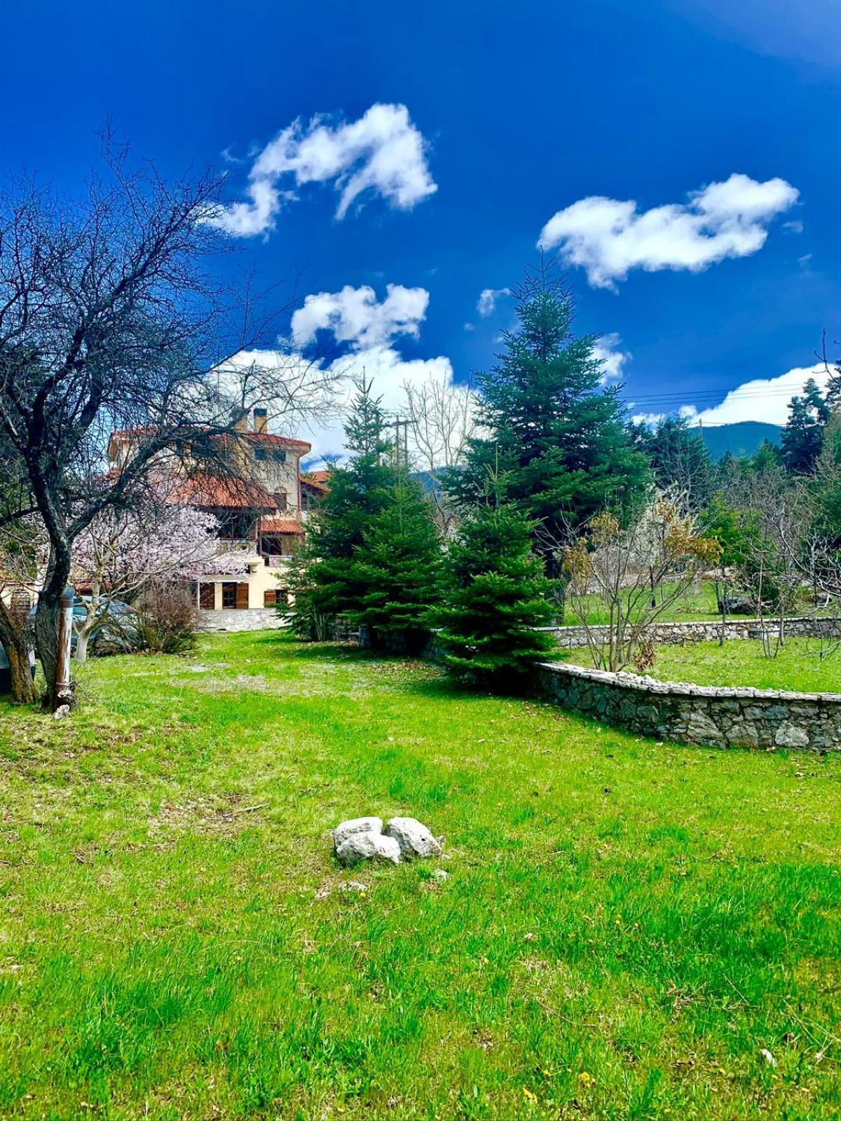 Pine Lodge By Ski Alure Arachova Exterior photo